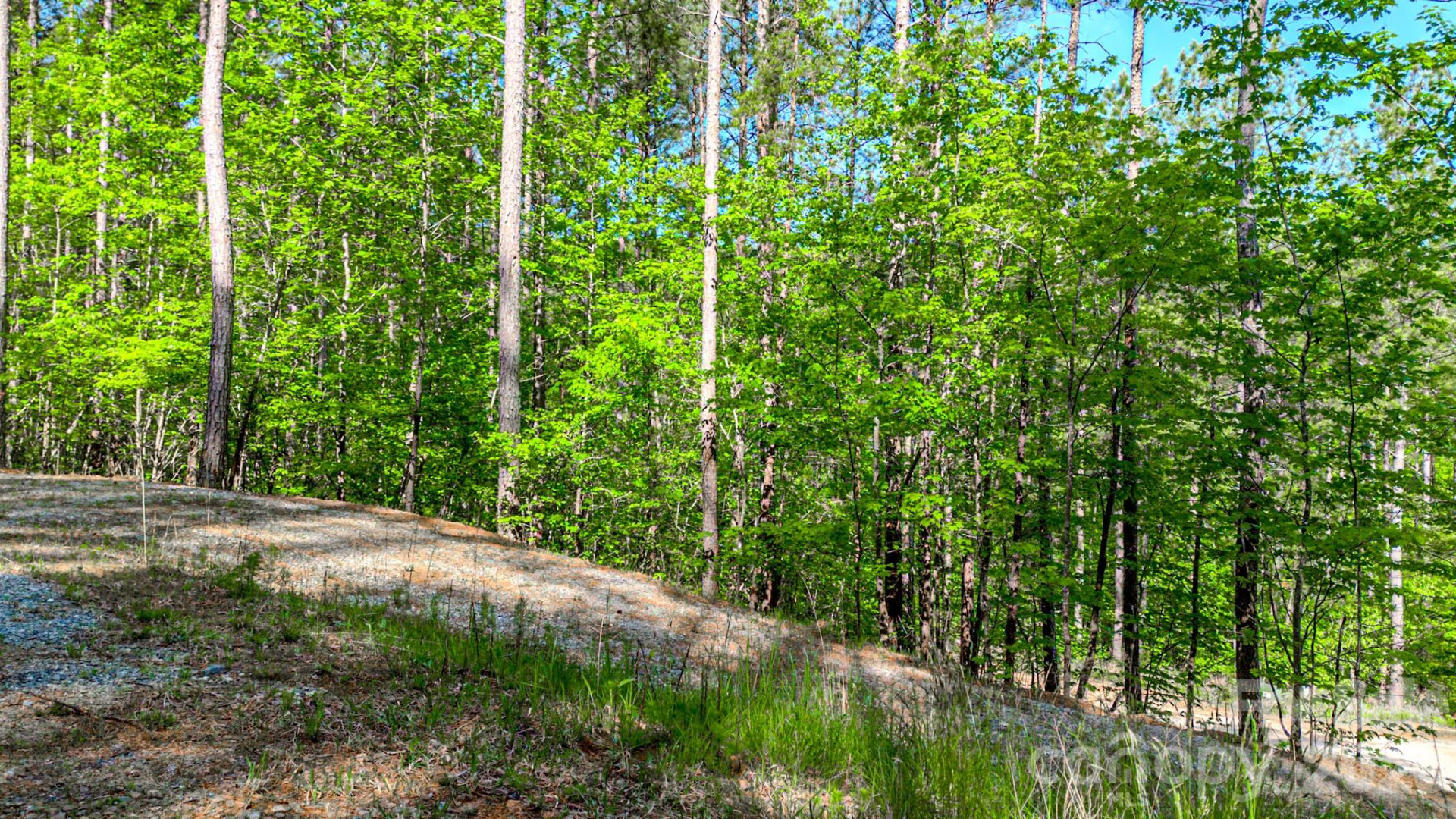 146 S Branch Drive - Photo 30