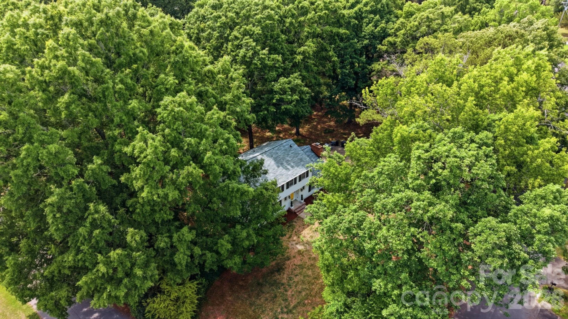 3341 Goodplace Road - Photo 44
