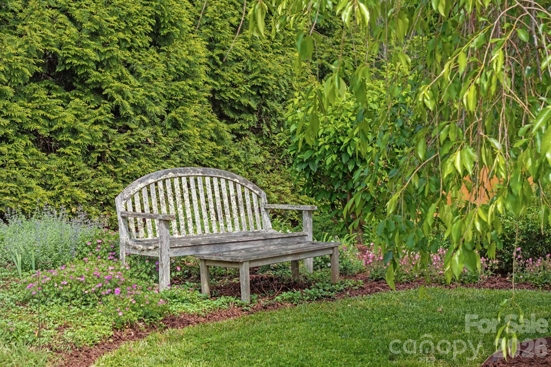 34 Carden Drive - Photo 6