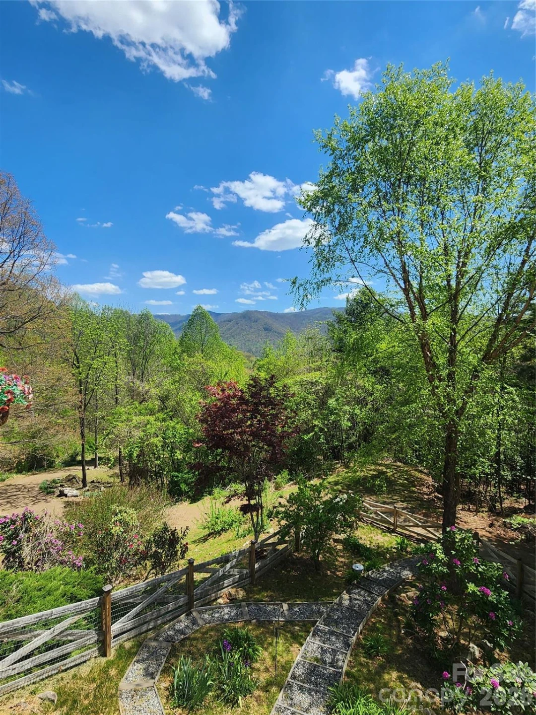 1206 Caldwell Mountain Road - Photo 2
