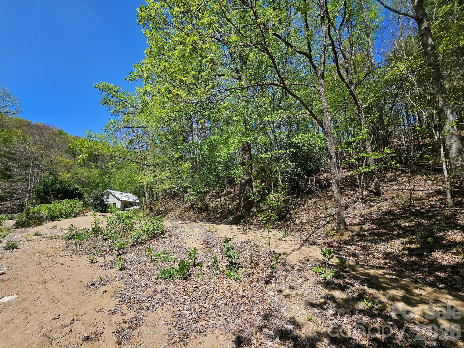 465 Paradise Lane - Photo 11