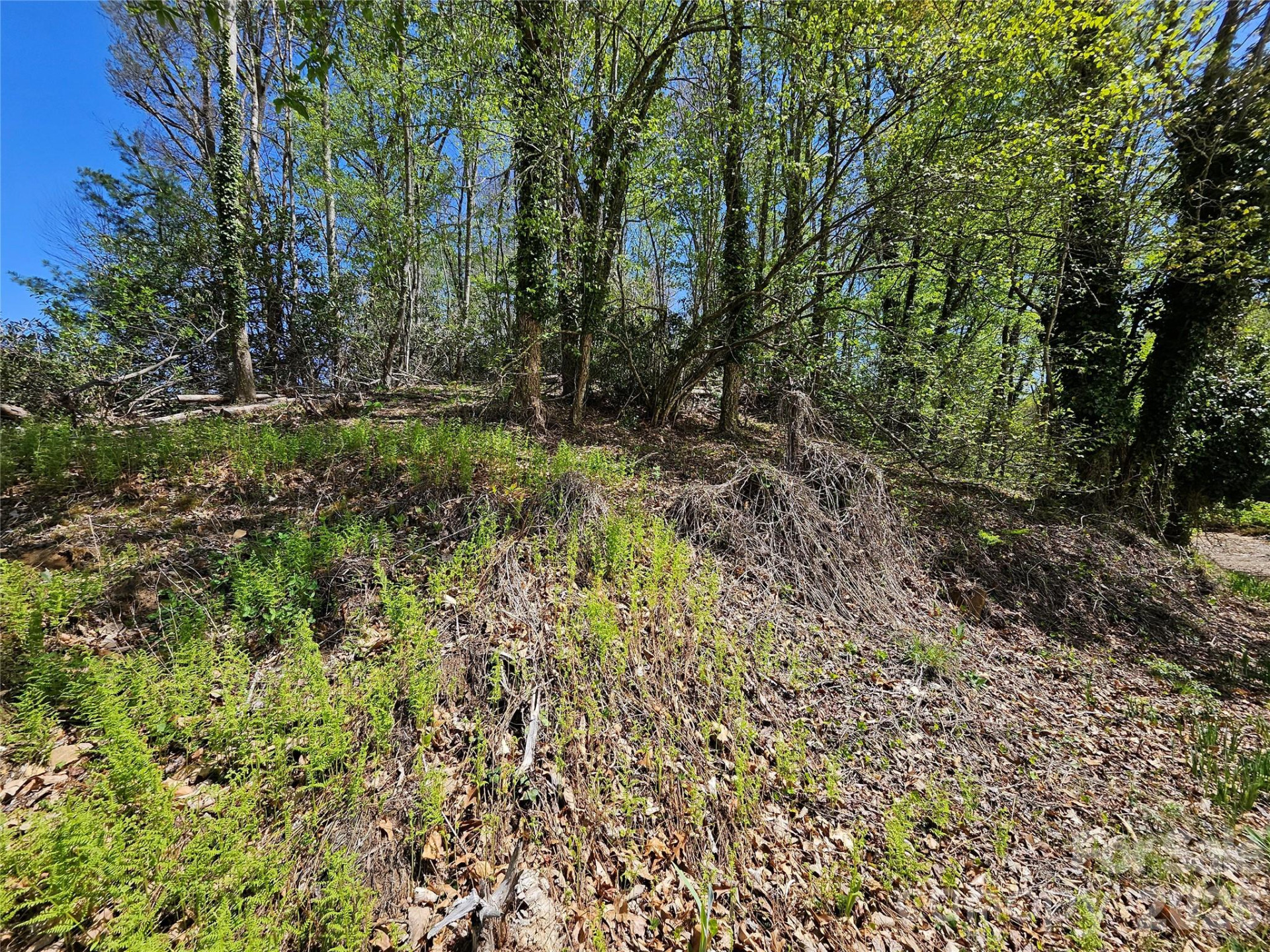 465 Paradise Lane - Photo 28