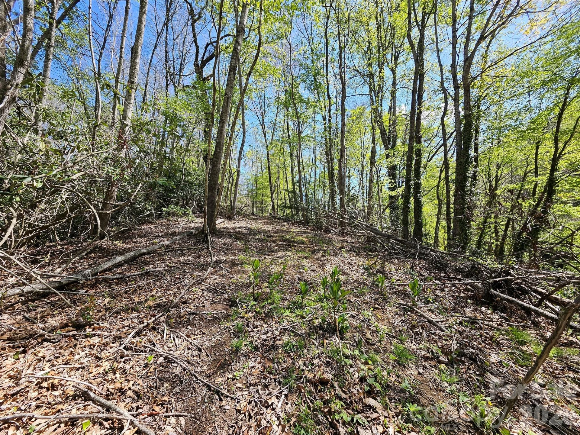 465 Paradise Lane - Photo 29