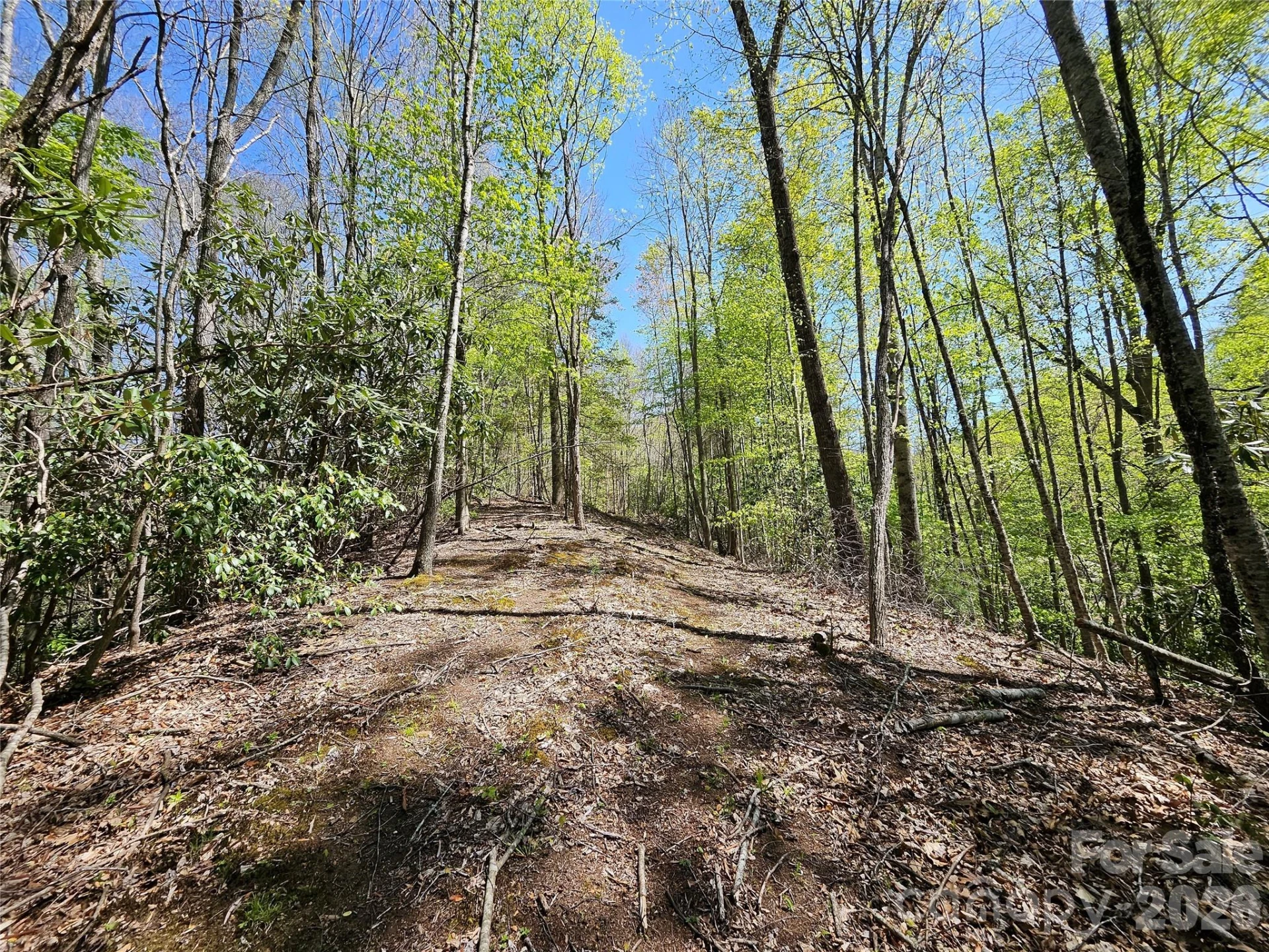 465 Paradise Lane - Photo 31