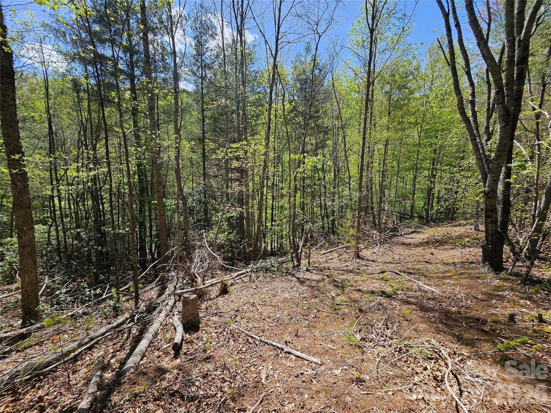 465 Paradise Lane - Photo 32