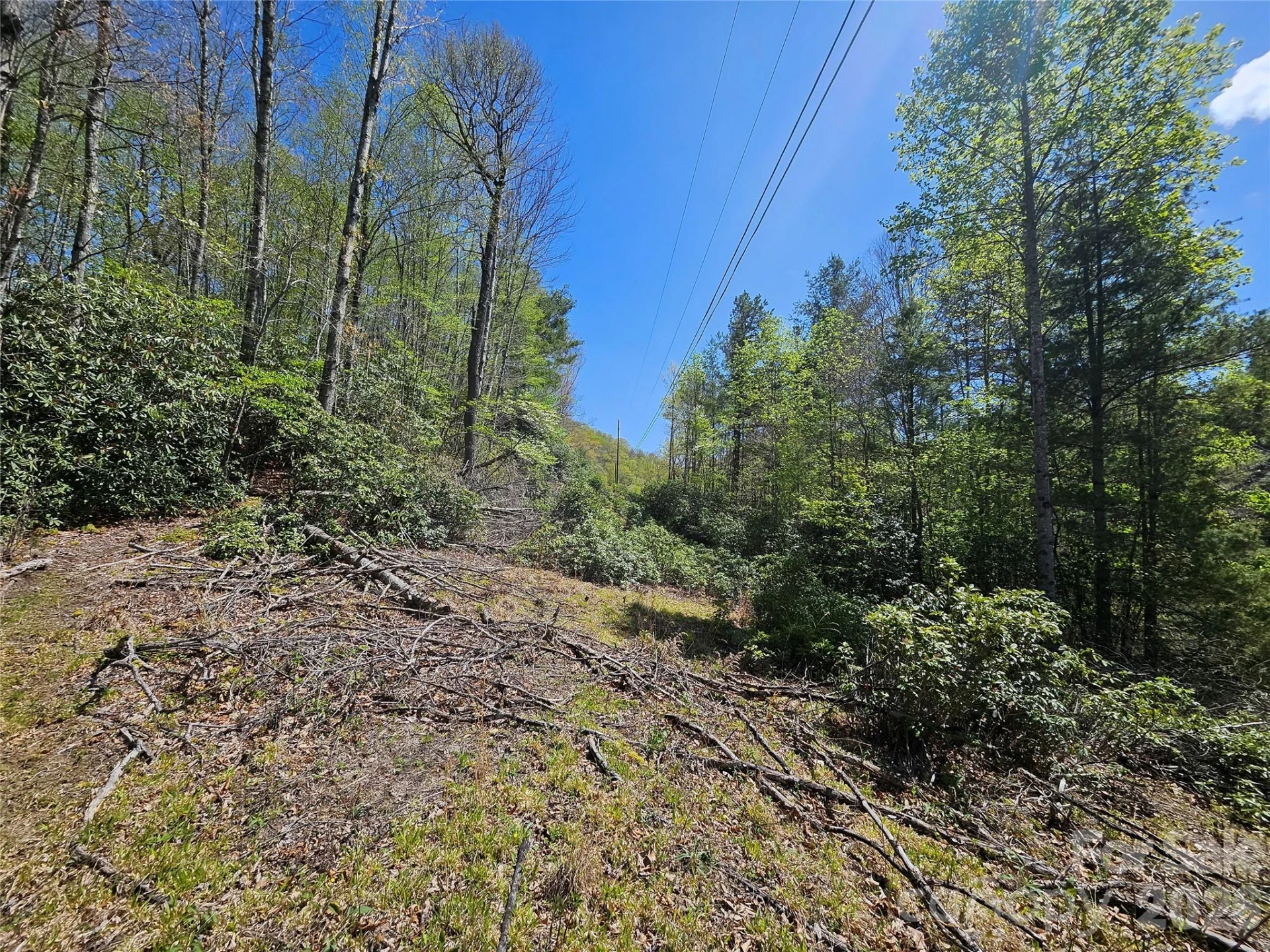 465 Paradise Lane - Photo 35