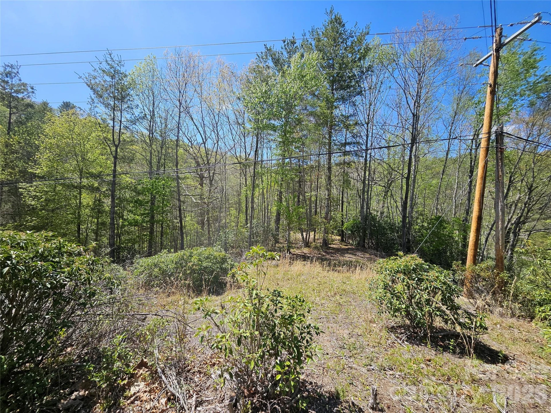 465 Paradise Lane - Photo 36