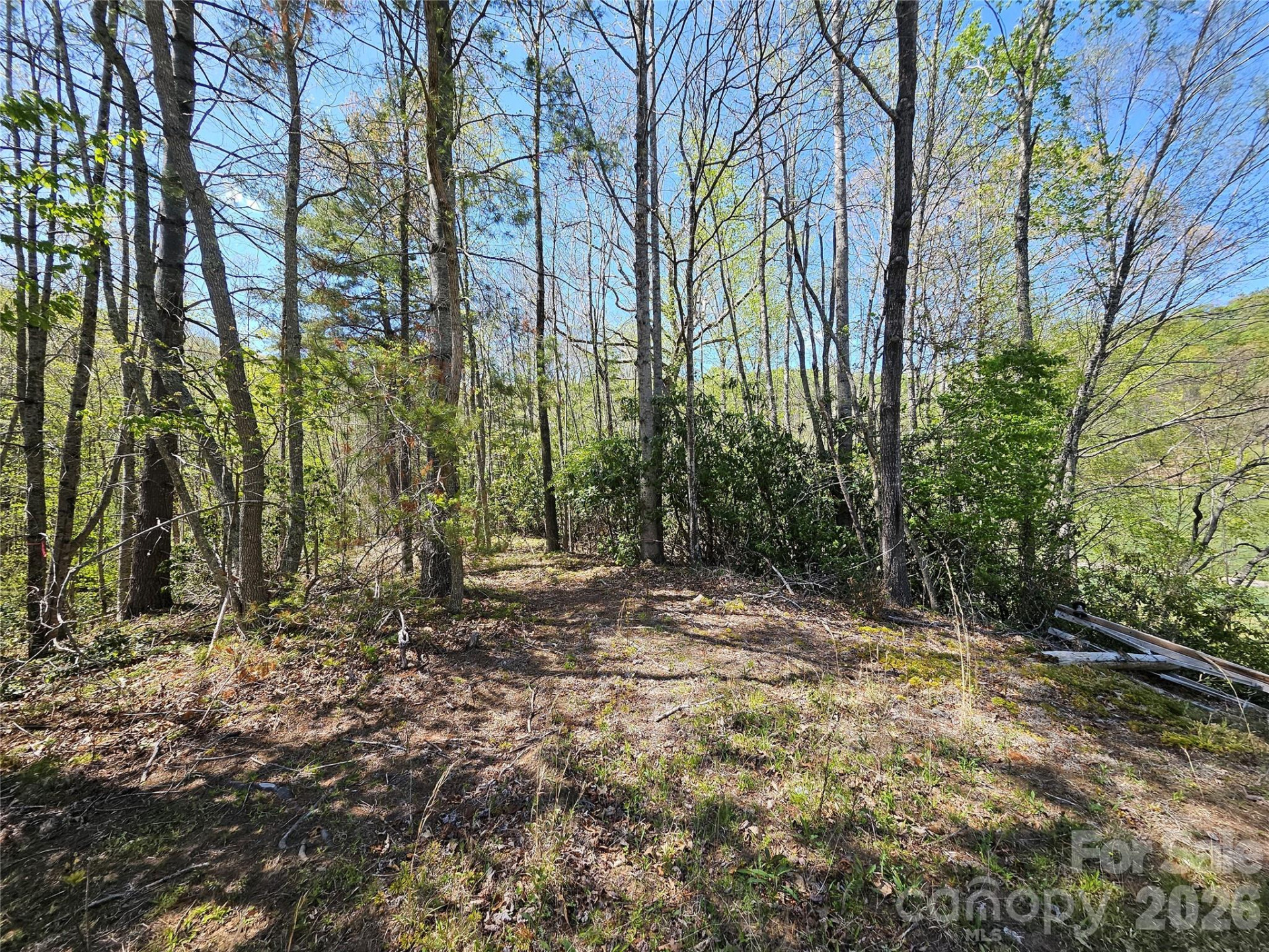 465 Paradise Lane - Photo 37