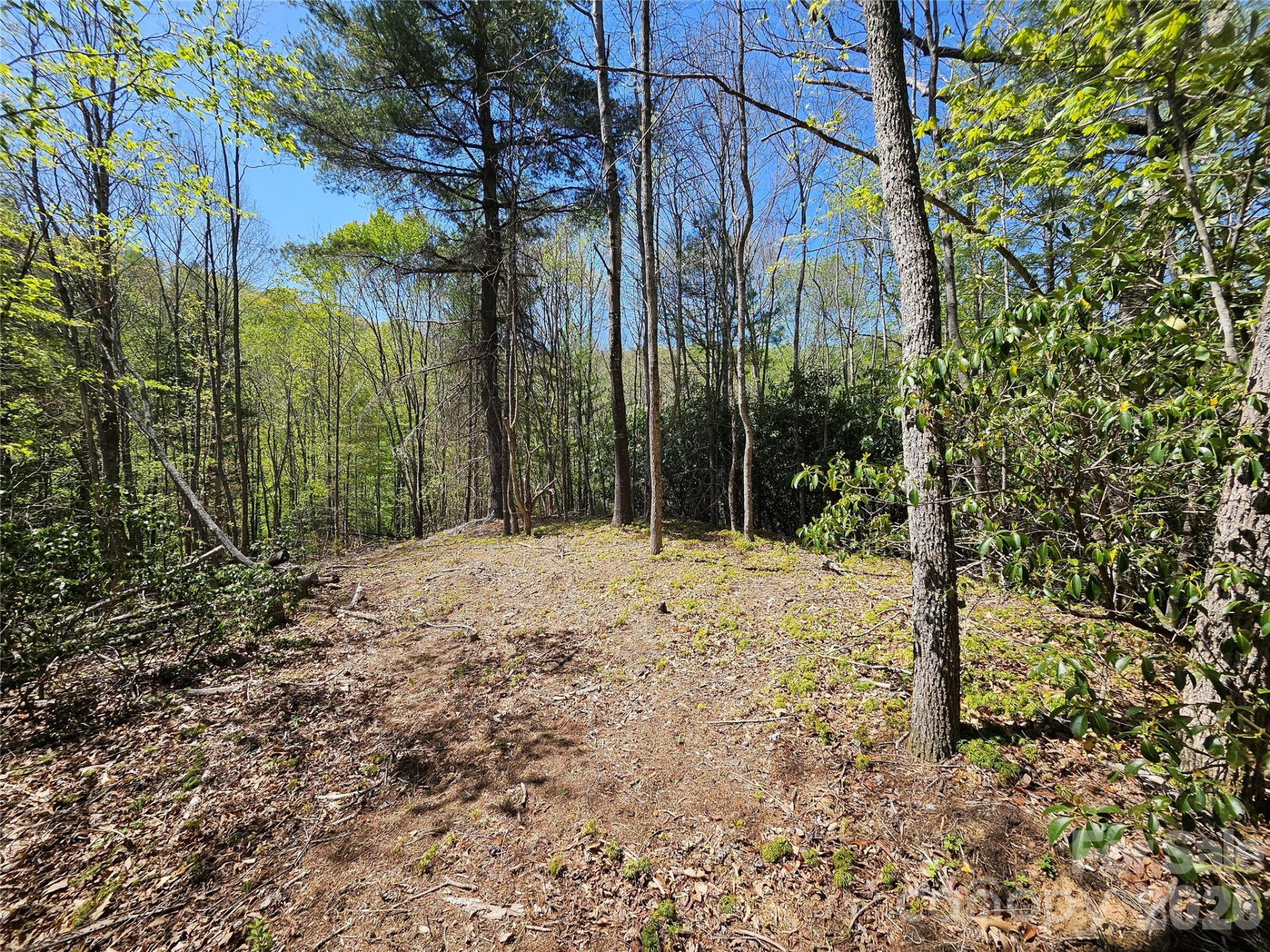 465 Paradise Lane - Photo 38