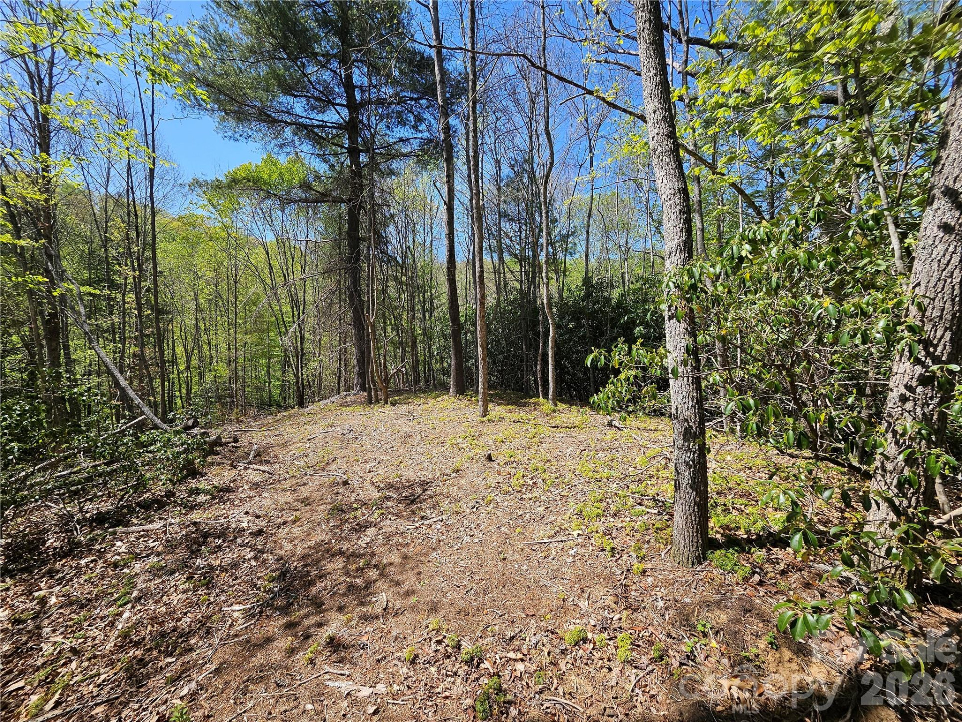 465 Paradise Lane - Photo 39