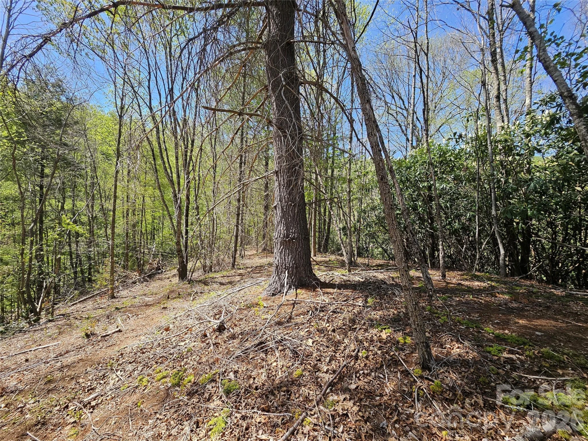 465 Paradise Lane - Photo 40
