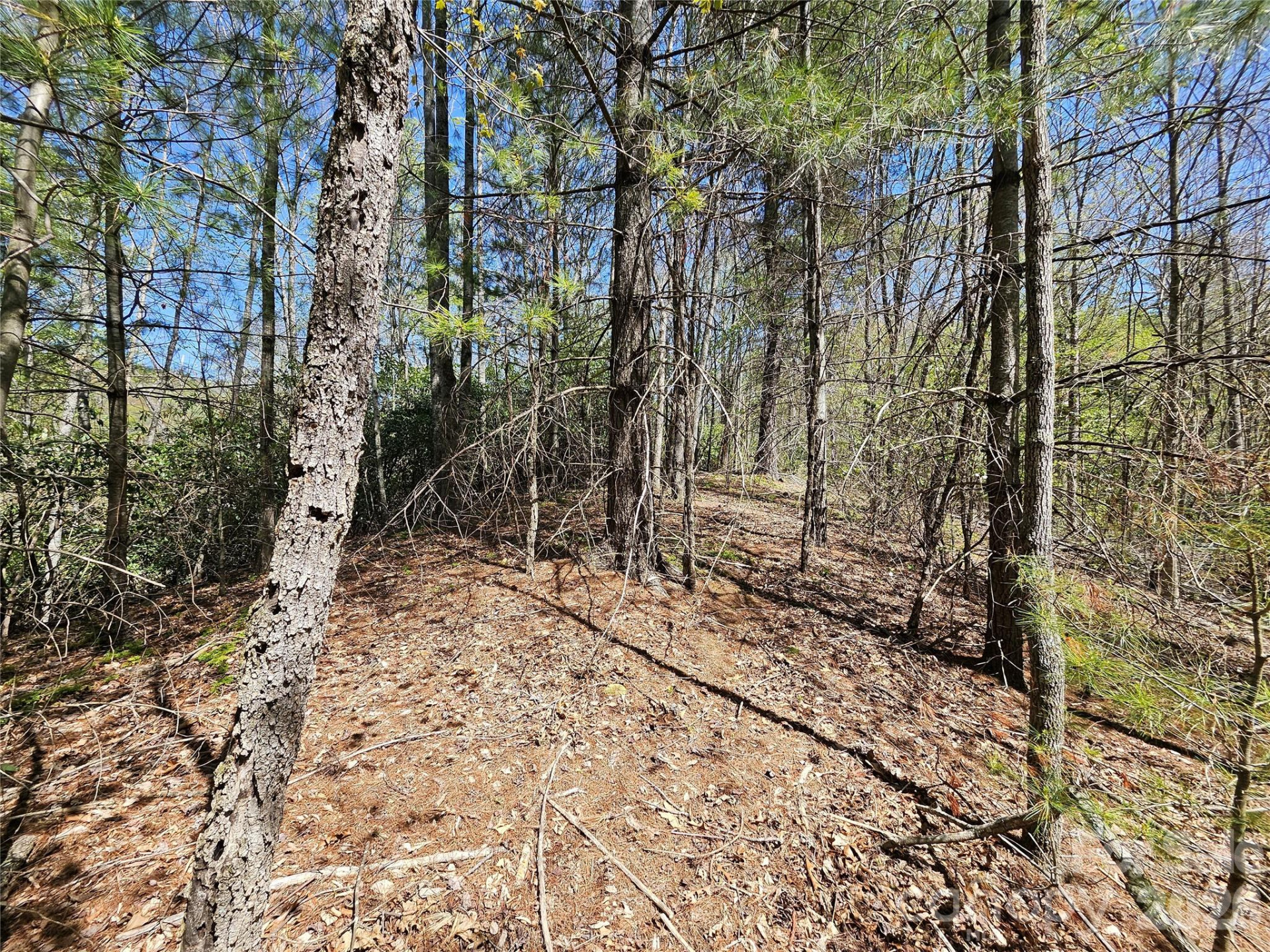 465 Paradise Lane - Photo 41