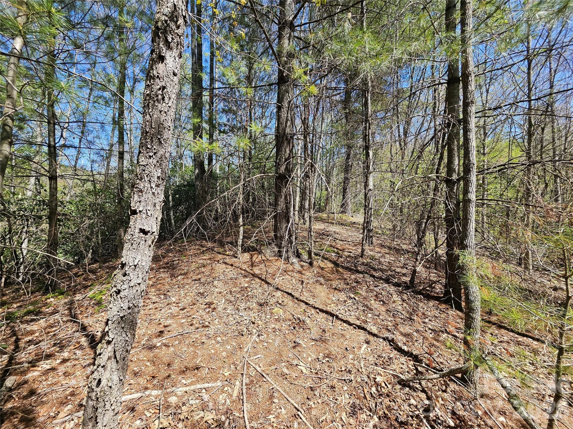 465 Paradise Lane - Photo 41