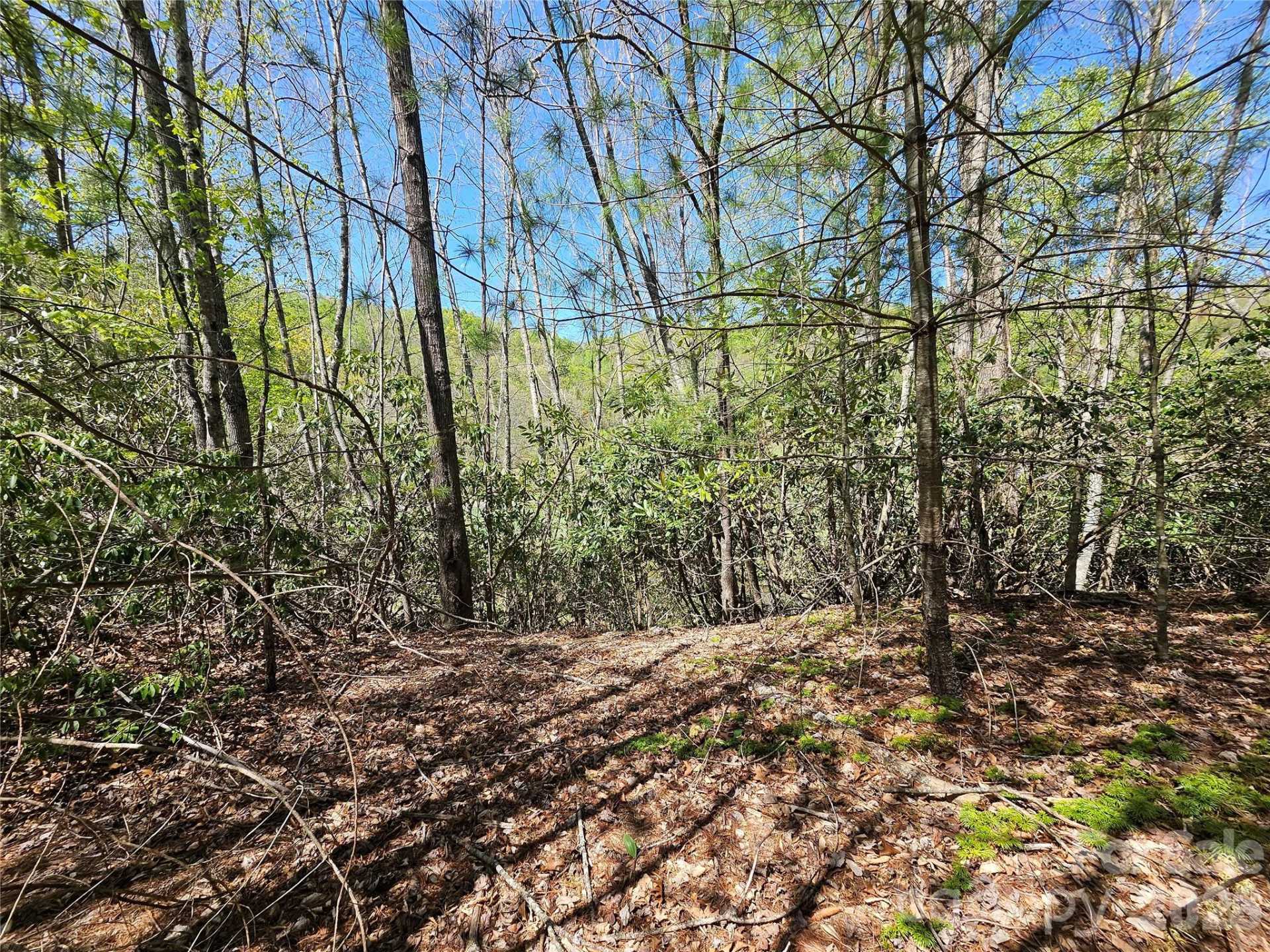 465 Paradise Lane - Photo 42