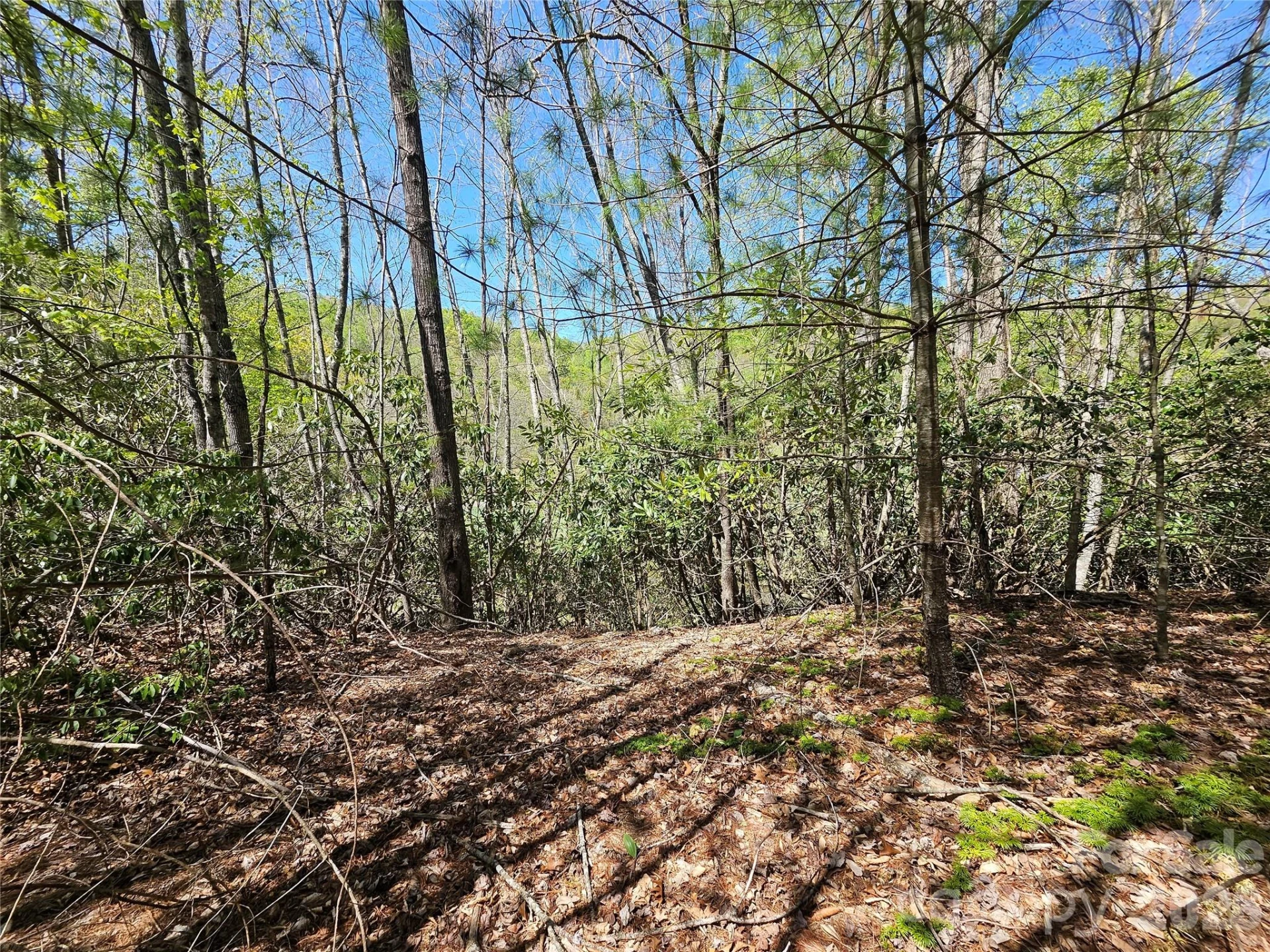 465 Paradise Lane - Photo 42