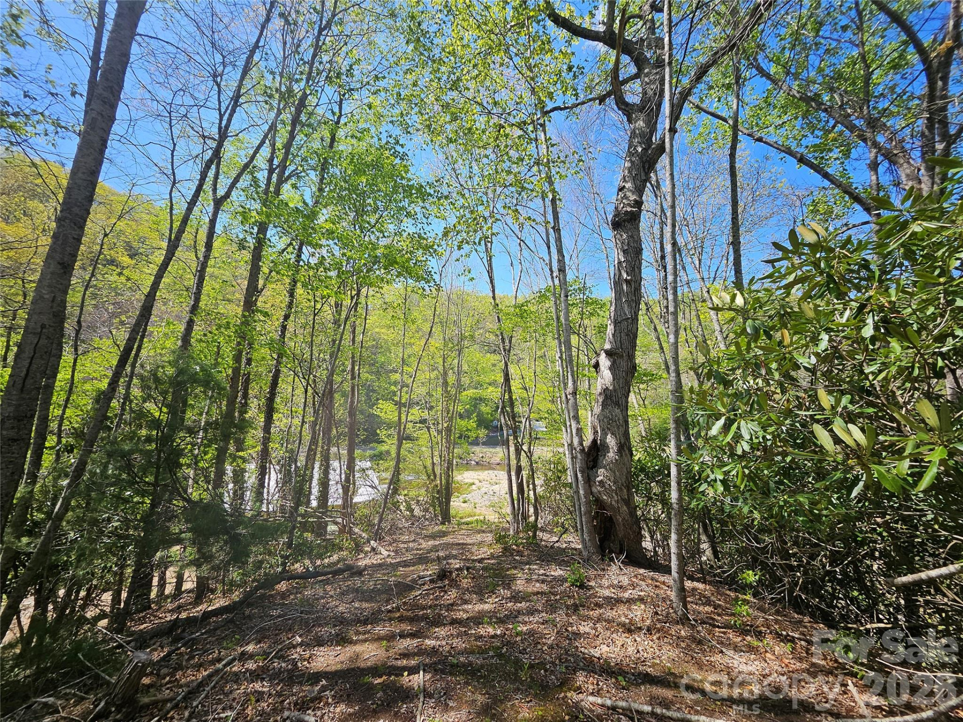 465 Paradise Lane - Photo 43
