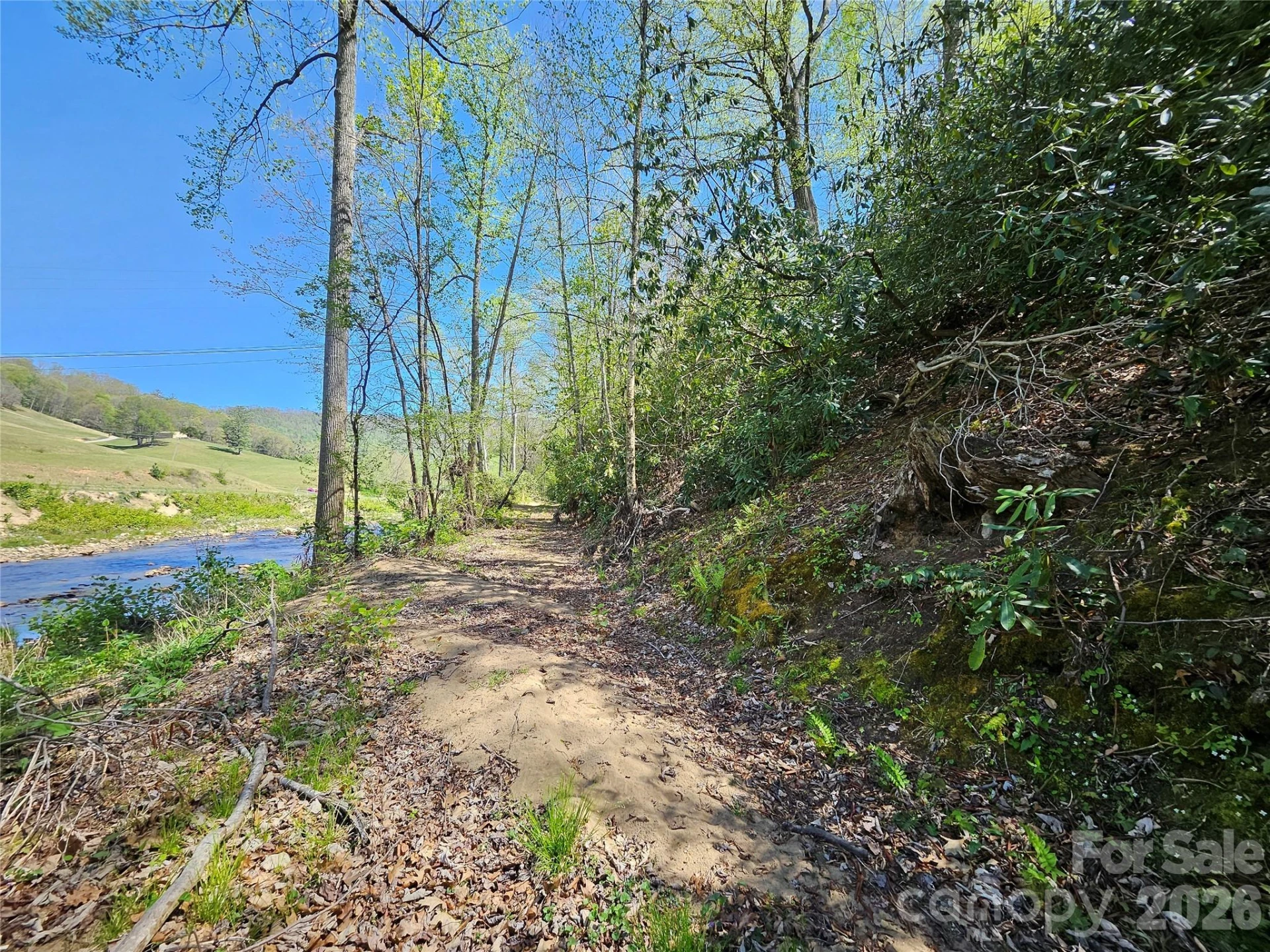 465 Paradise Lane - Photo 45