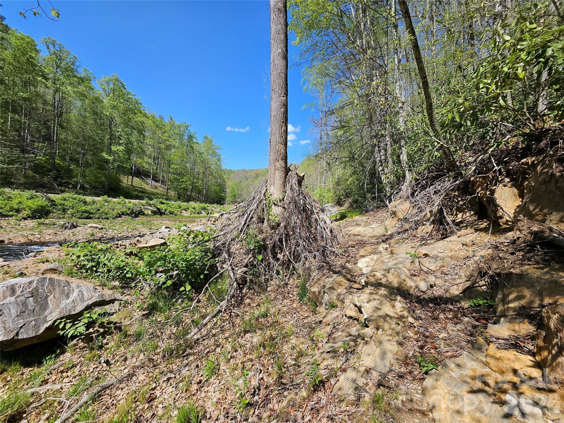 465 Paradise Lane - Photo 48