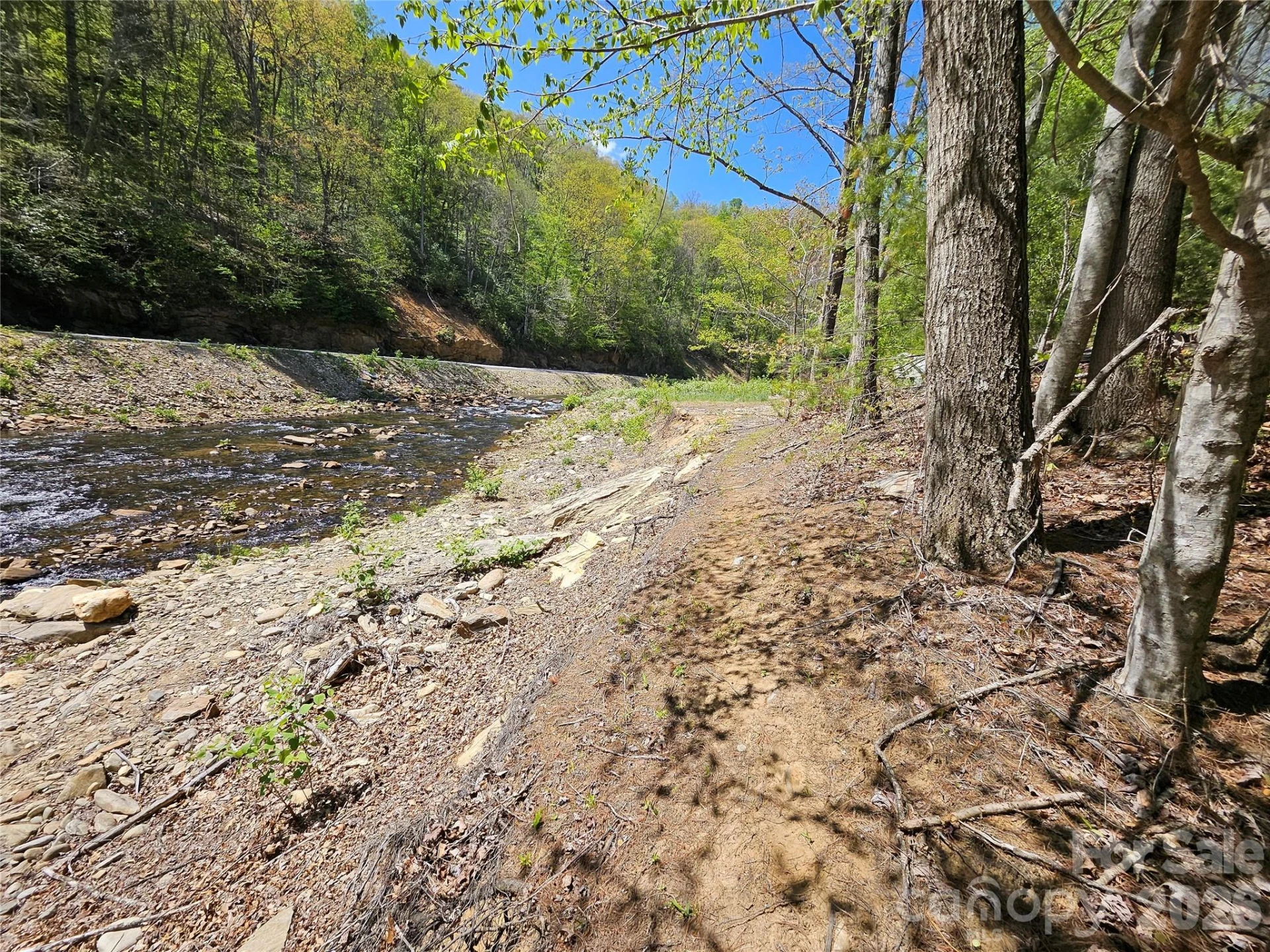 465 Paradise Lane - Photo 8