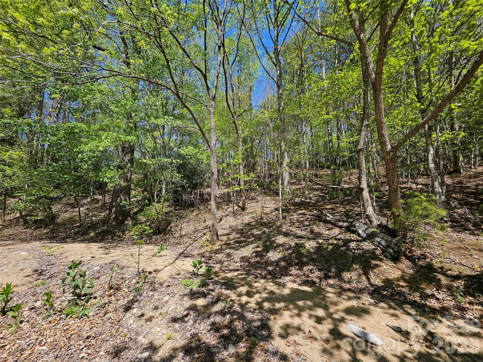 465 Paradise Lane - Photo 10
