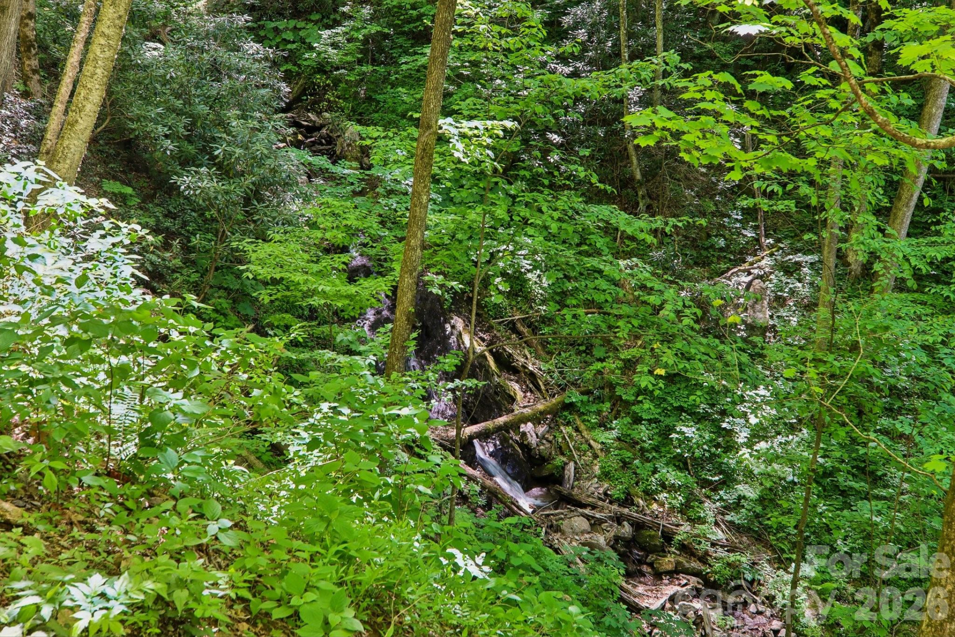 695 Wildcat Run - Photo 24