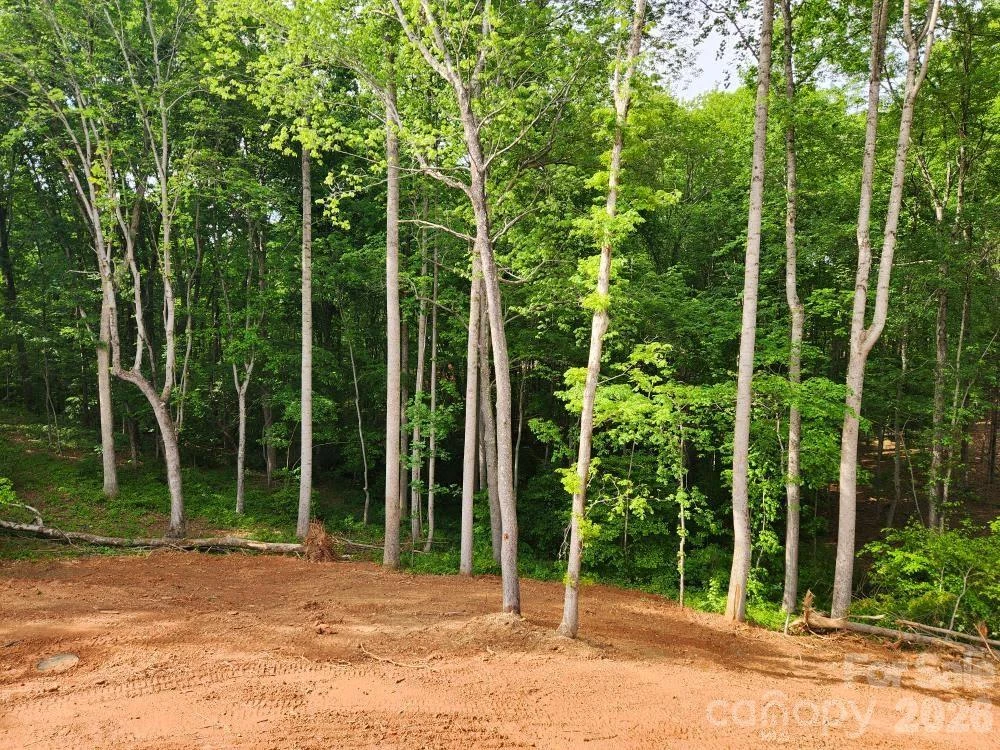 5117 Grassy Creek Road - Photo 9