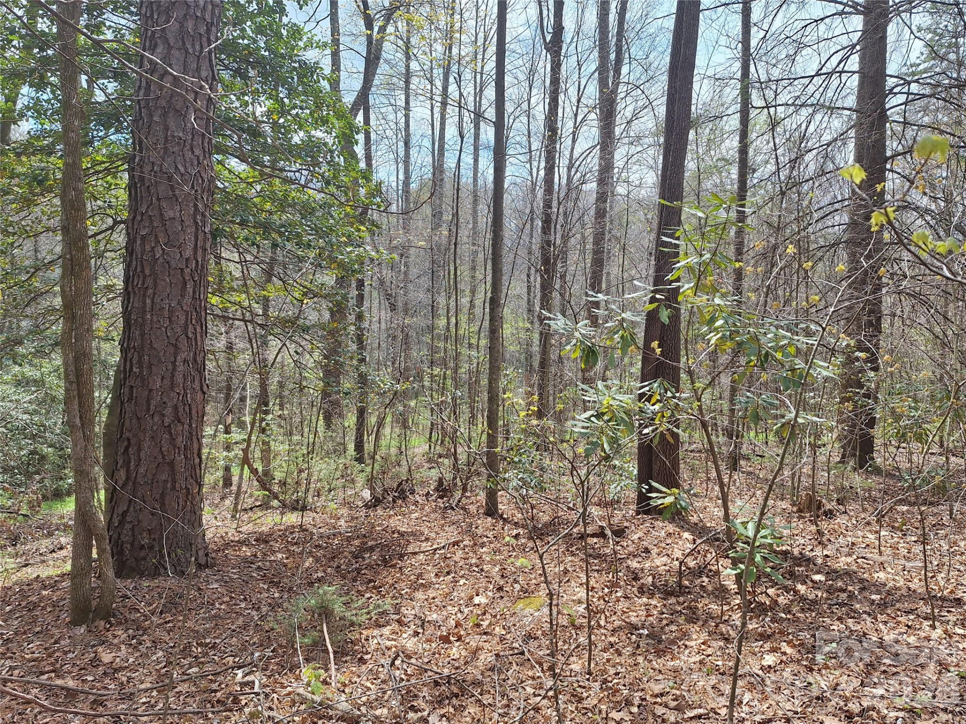946 Lake Road - Photo 12