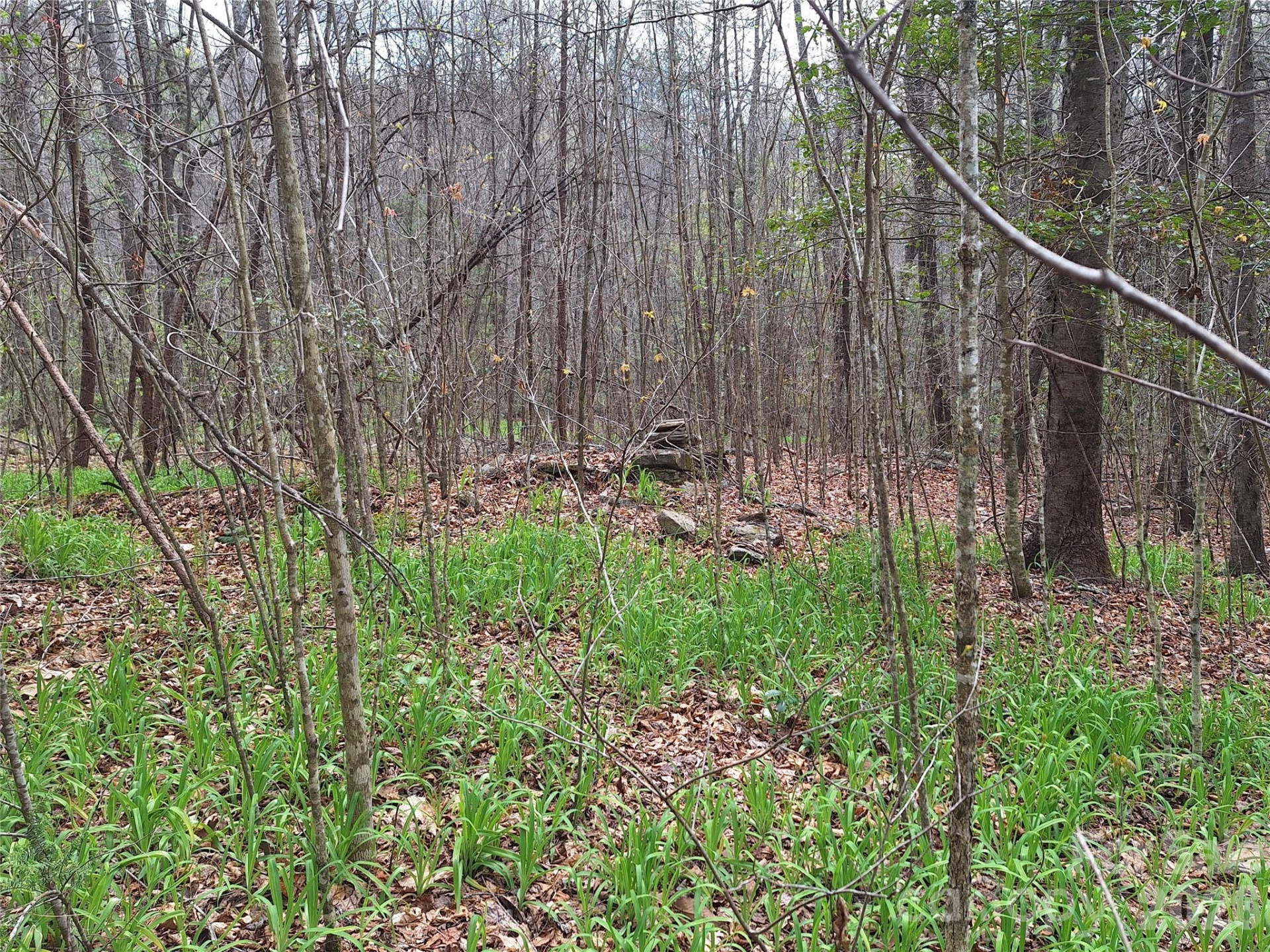 946 Lake Road - Photo 15