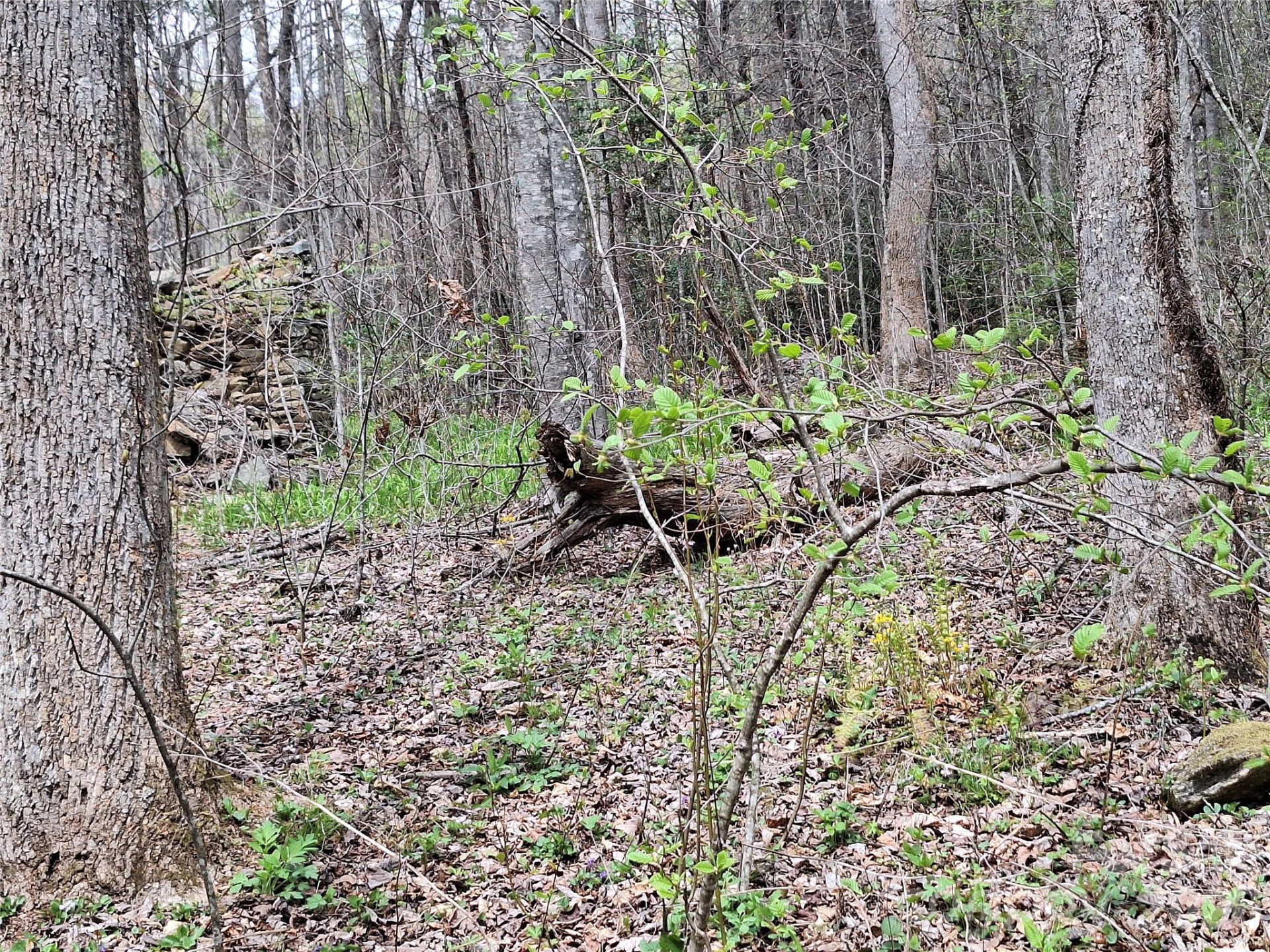 946 Lake Road - Photo 21