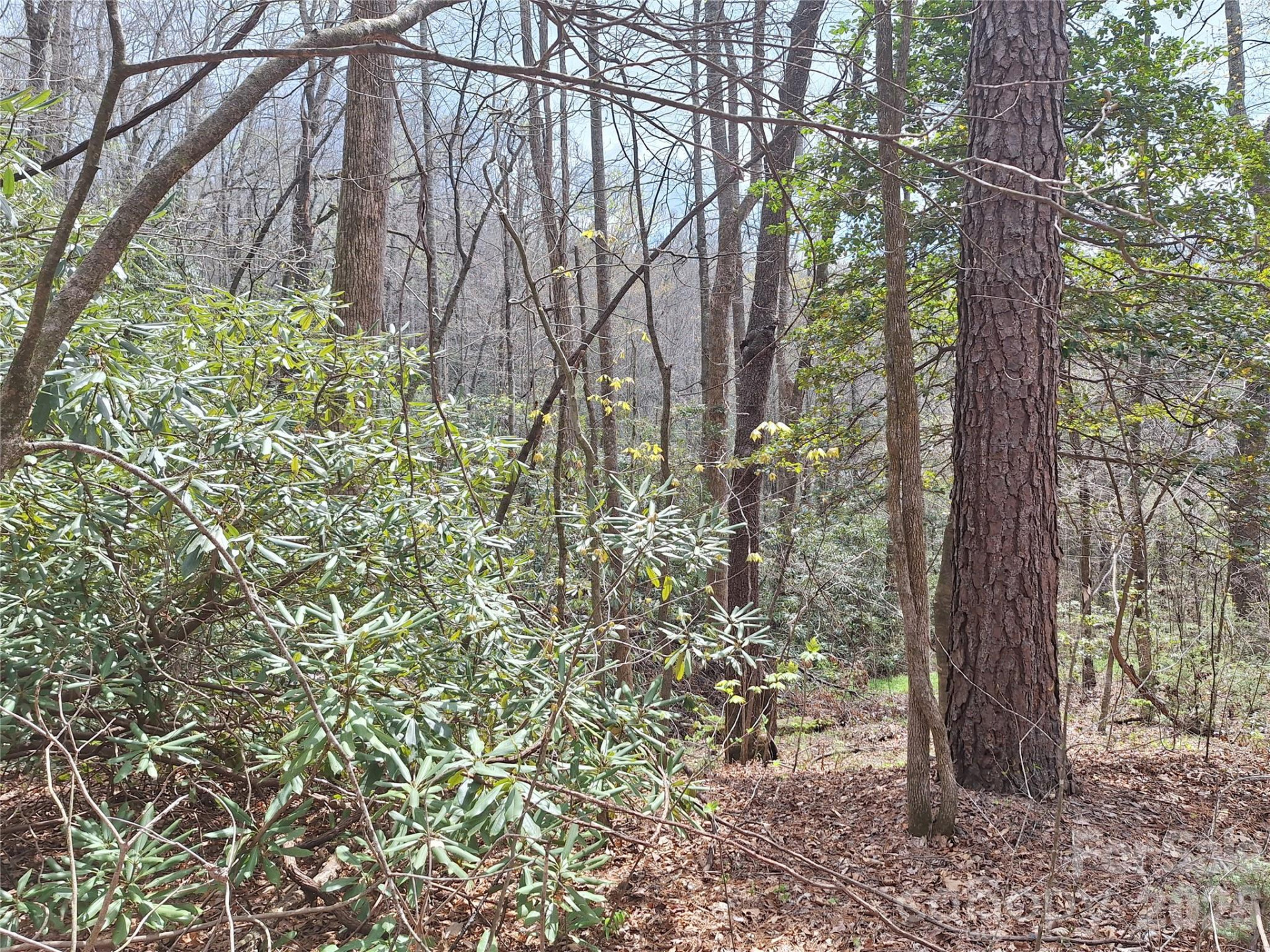 946 Lake Road - Photo 24