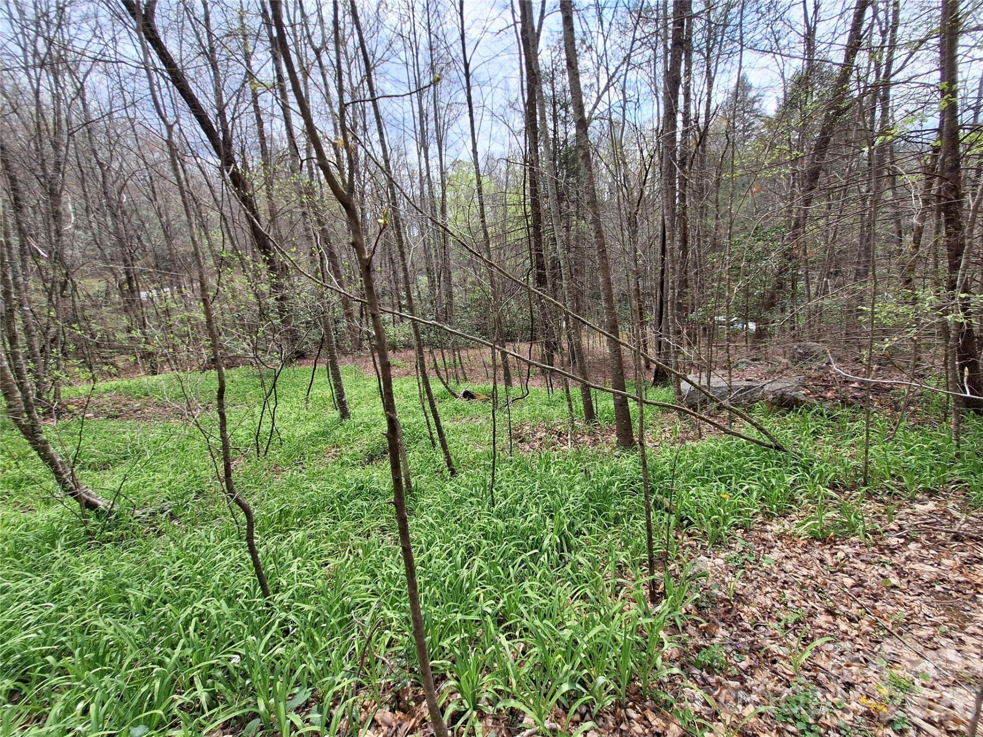 946 Lake Road - Photo 32