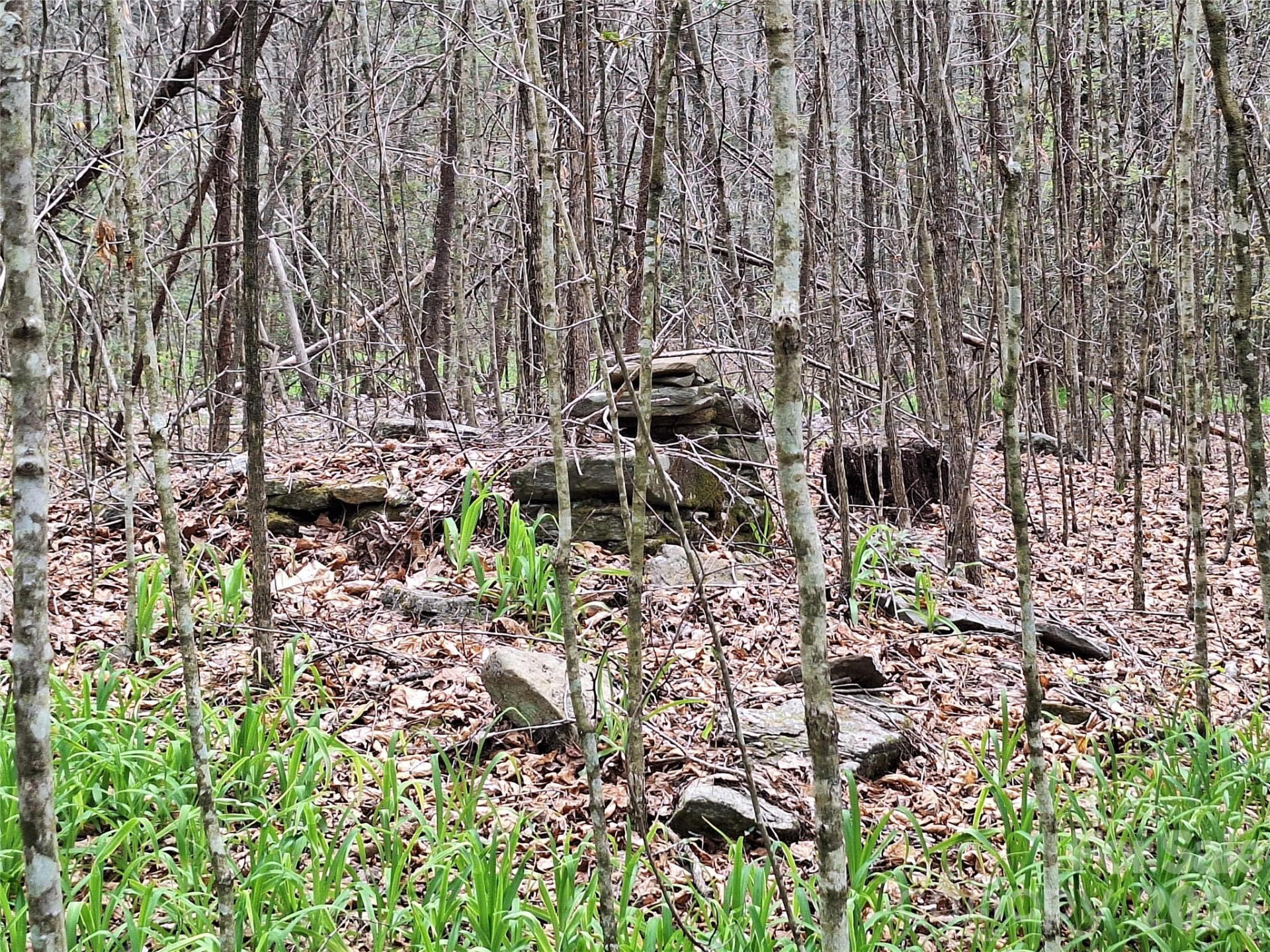 946 Lake Road - Photo 38