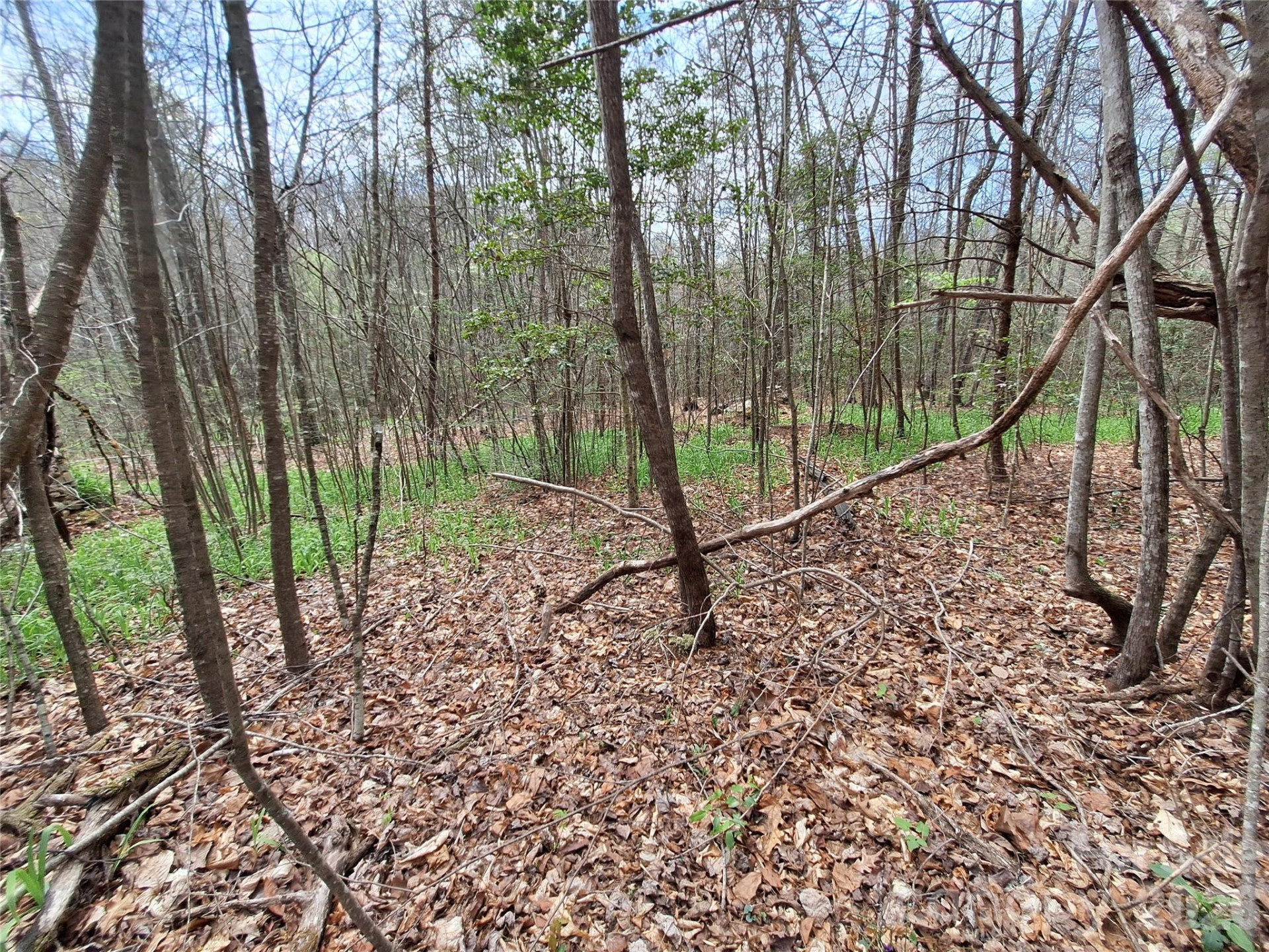 946 Lake Road - Photo 39