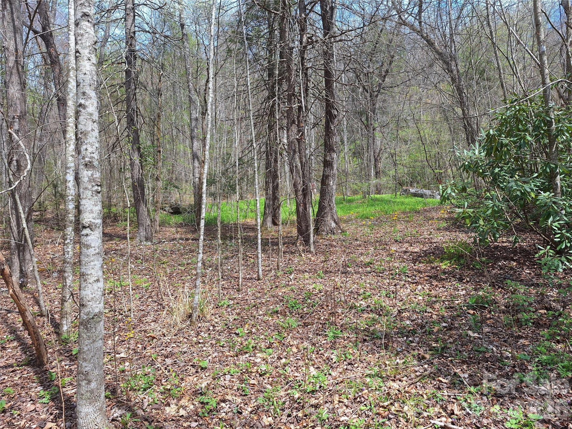 946 Lake Road - Photo 5