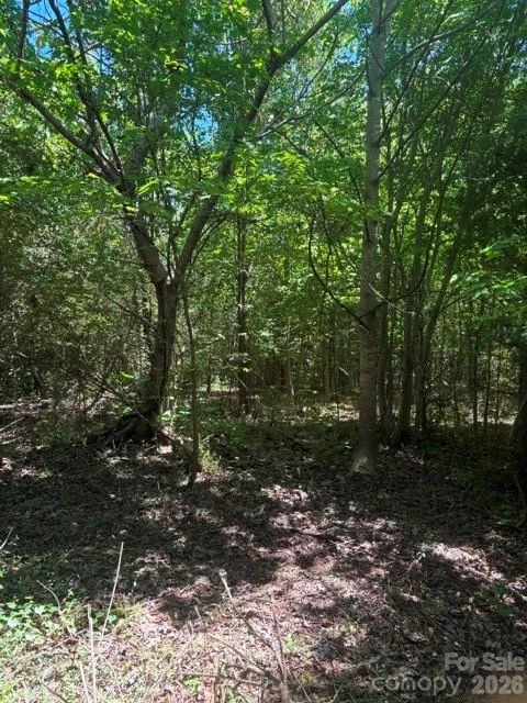 0 Pine Hill Avenue - Photo 3