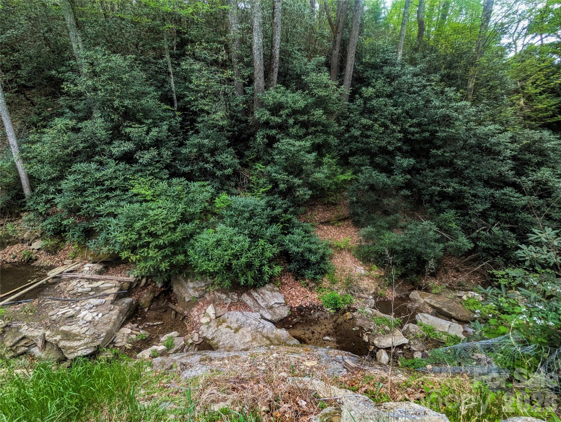 1034 Kyles Creek Road - Photo 6
