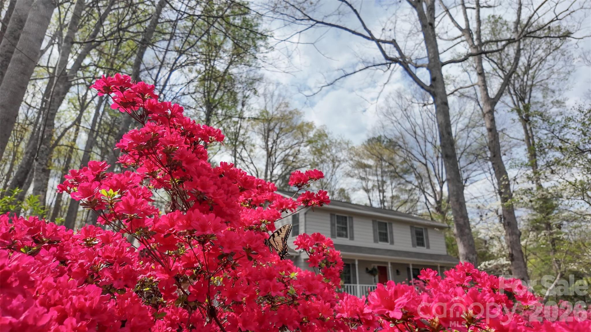 105 Horse Shoe Lane #62 - Photo 6