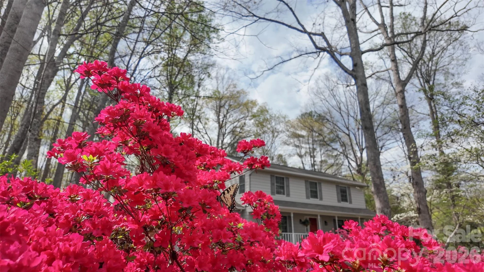 105 Horse Shoe Lane #62 - Photo 6