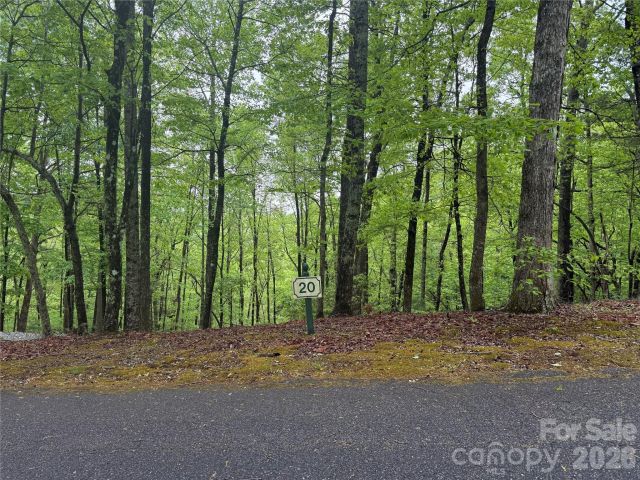 39 Black Bear Ridge Trail