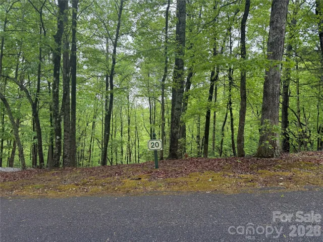 39 Black Bear Ridge Trail, Zirconia, NC, 28790