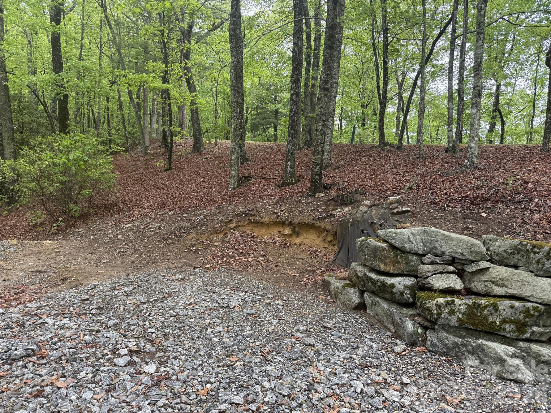 39 Black Bear Ridge Trail #20 - Photo 3