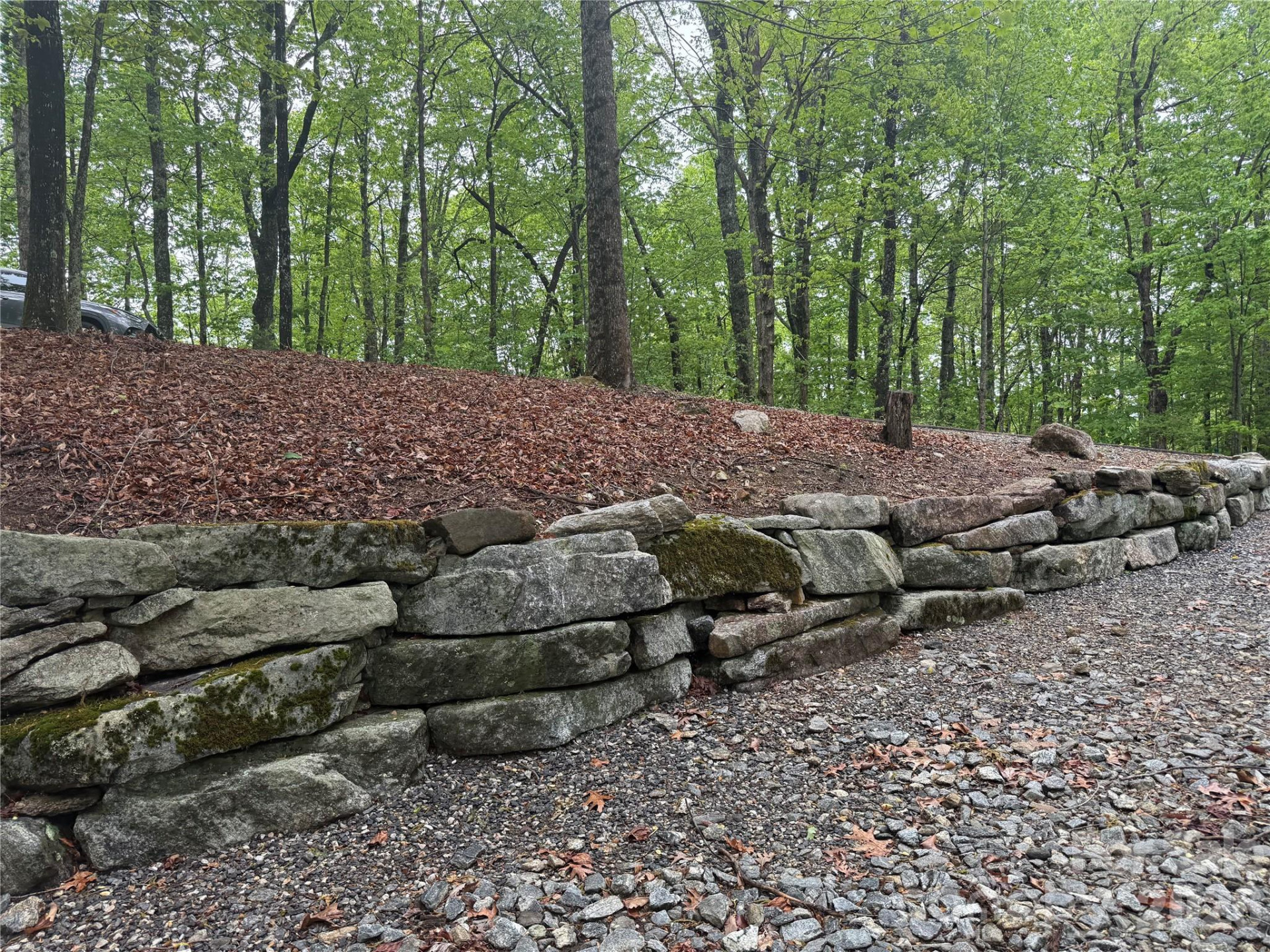 39 Black Bear Ridge Trail #20 - Photo 4