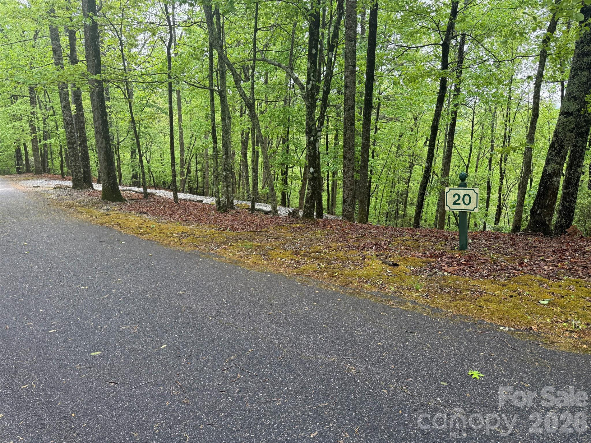 39 Black Bear Ridge Trail #20 - Photo 8