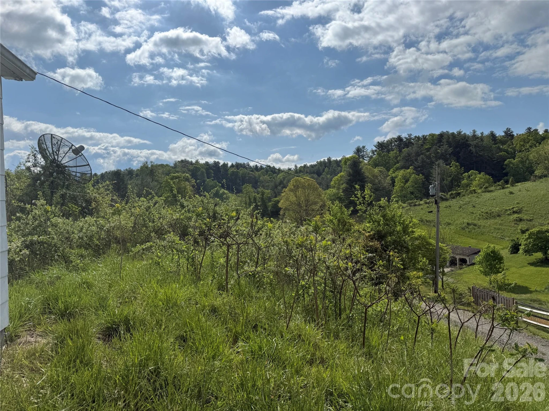 176 Laurel Branch Cemetery Road - Photo 23