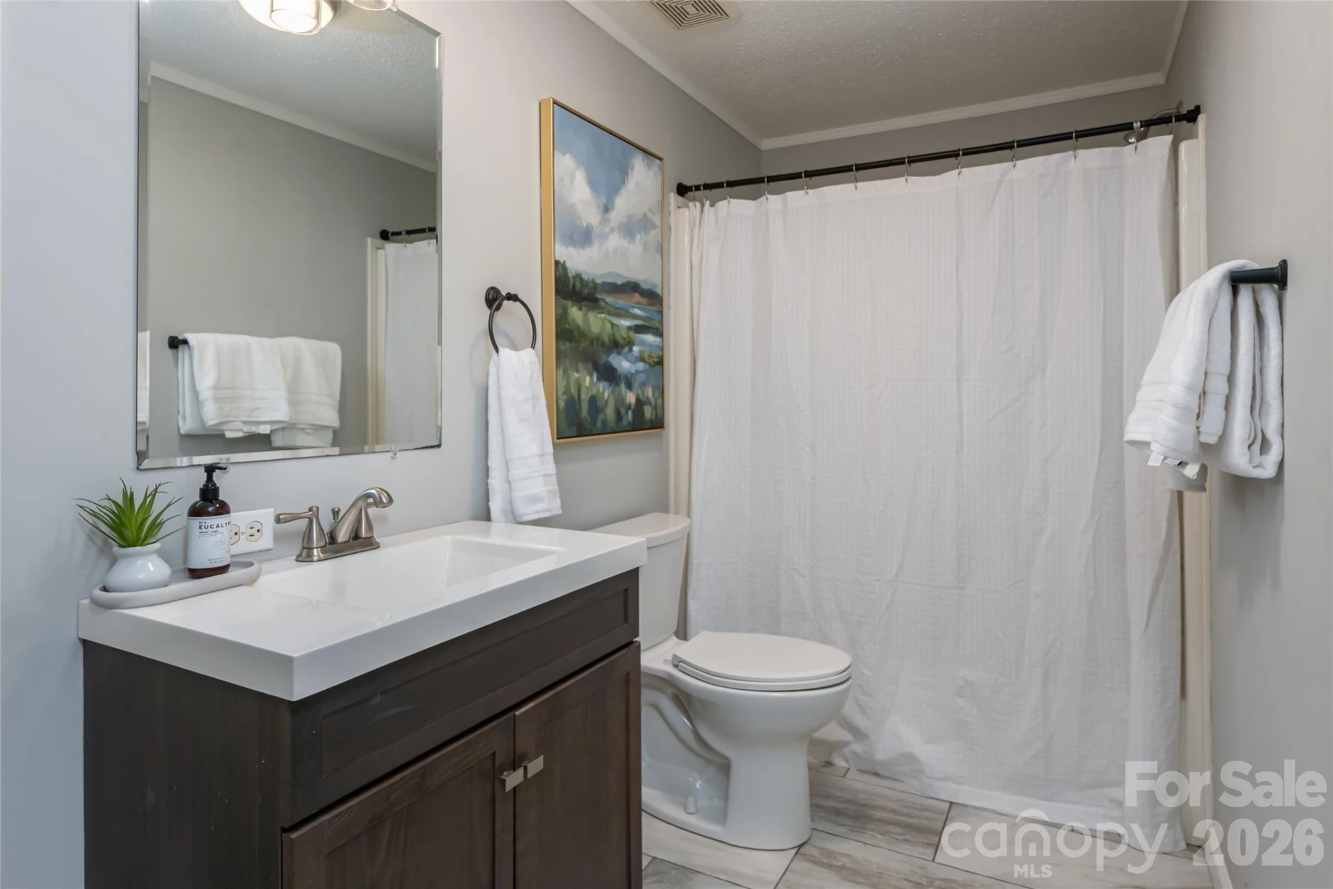 19 Sycamore Street - Photo 24