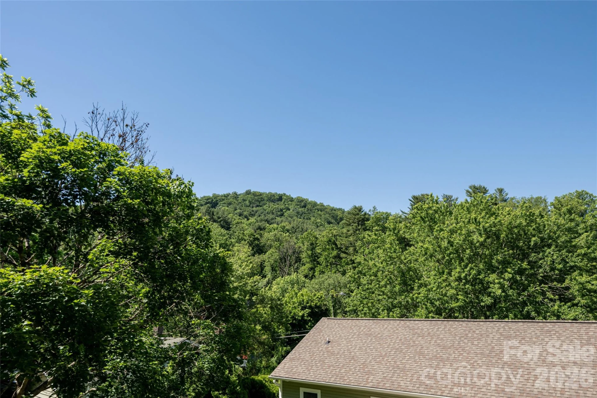 19 Sycamore Street - Photo 30