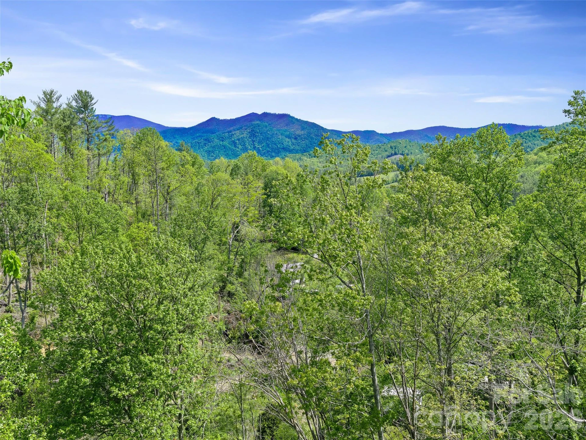 615 Fred Sparks Road - Photo 11