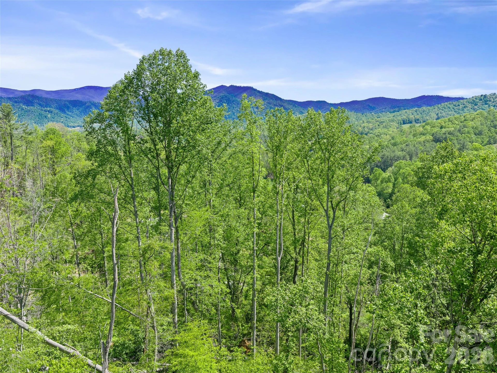 615 Fred Sparks Road - Photo 12