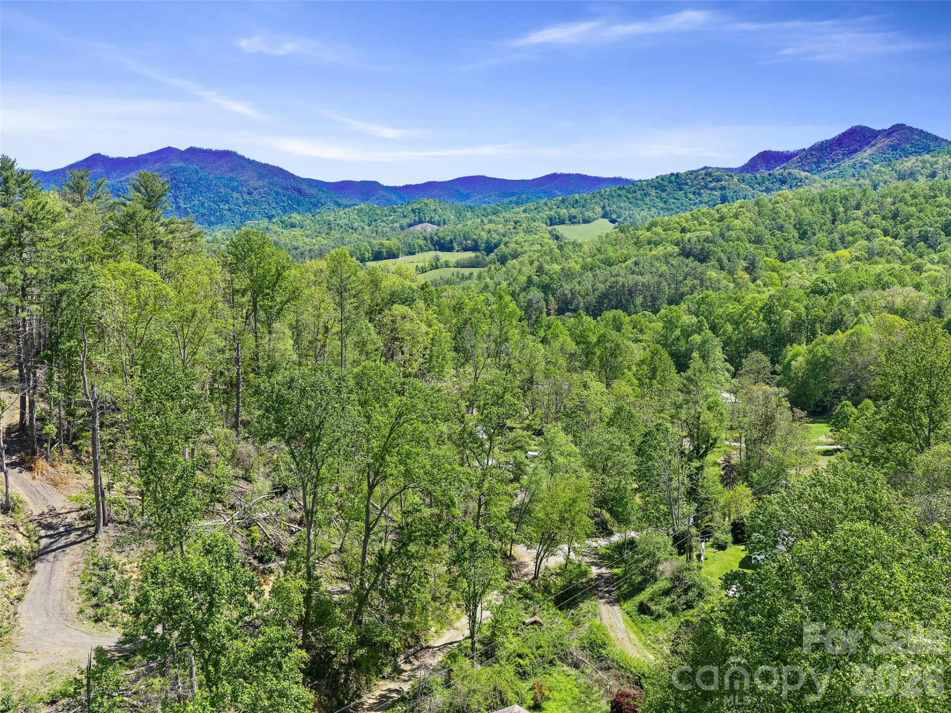 615 Fred Sparks Road - Photo 3
