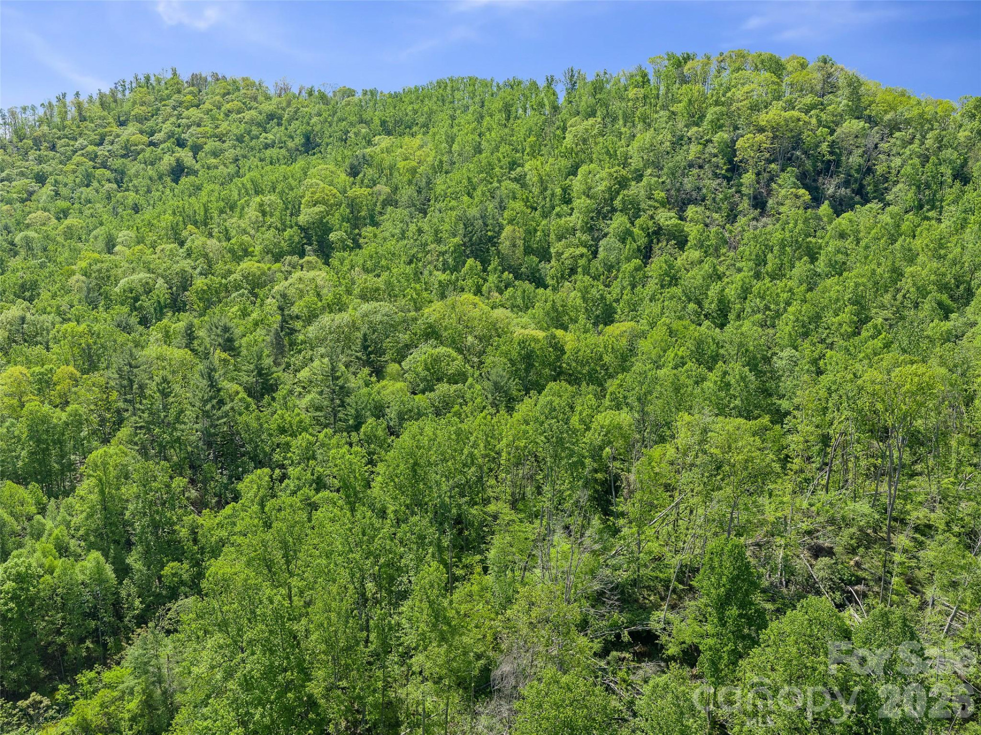 615 Fred Sparks Road - Photo 4